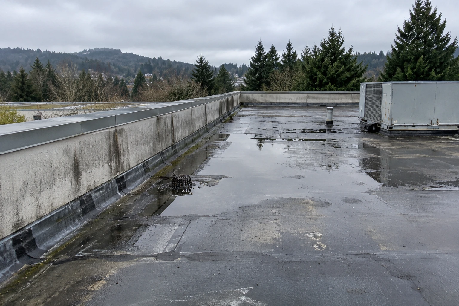 Roof Damage Repair