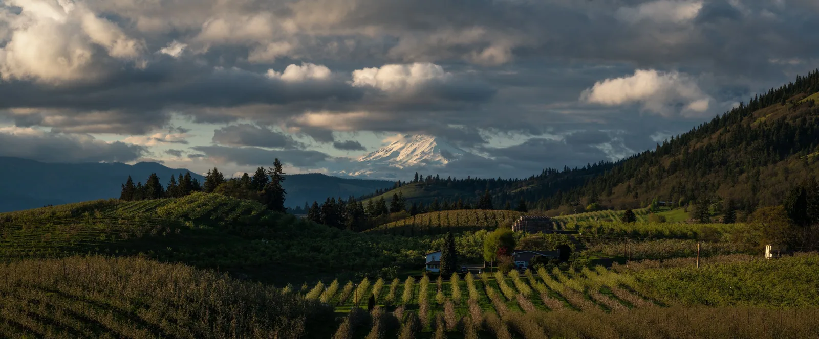 Hillsboro