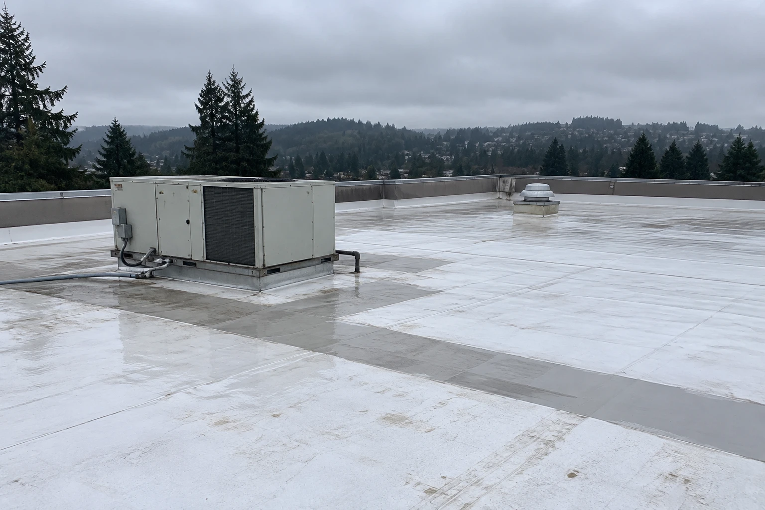 Commercial Roofing Services